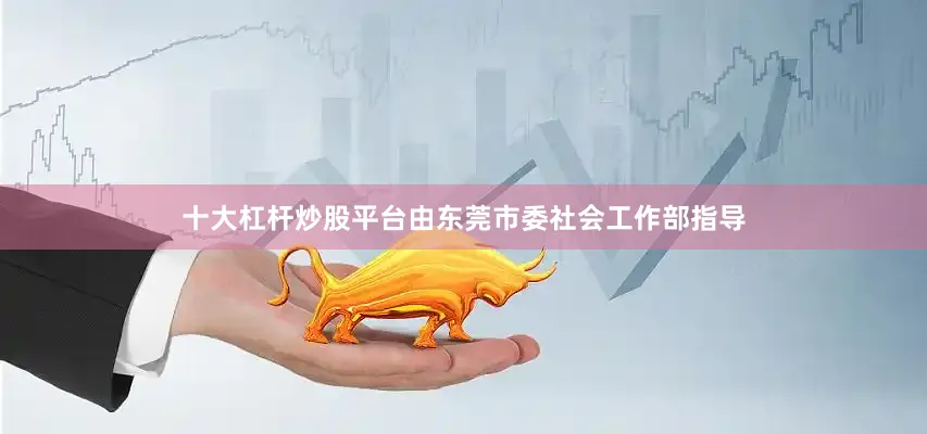 十大杠杆炒股平台由东莞市委社会工作部指导