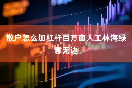 散户怎么加杠杆百万亩人工林海绿意无边