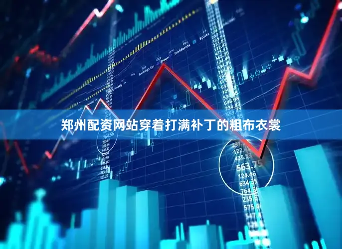 郑州配资网站穿着打满补丁的粗布衣裳